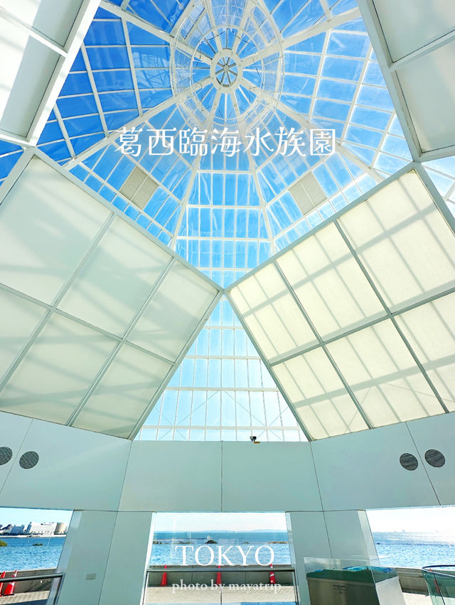 東京だけどどこか遠くへきたみたいな雰囲気の水族館【東京/葛西臨海公園】