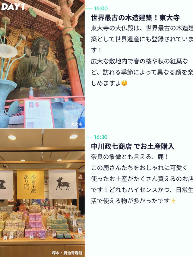 【カップルで2泊3日💓大阪・奈良旅行🦌】