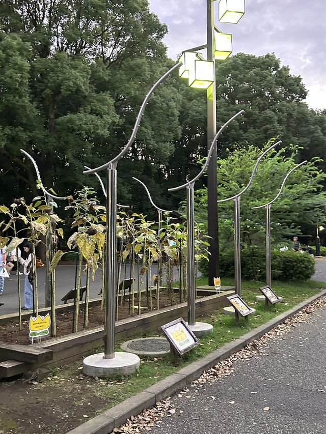 도쿄 요요기 공원에서 산책하기🌳💚