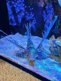The Shore Oceanarium in Melaka