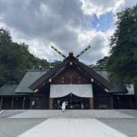 Sapporo - Metropolis close to nature 🌸