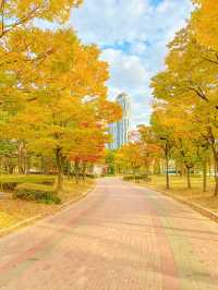 단풍 시즌 가야할 부산 단풍 명소 모음💛