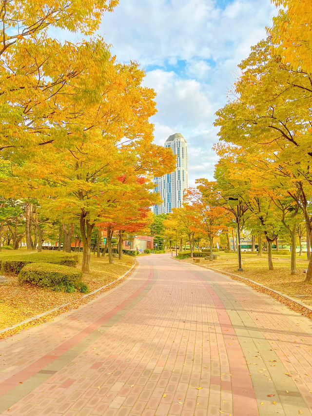 단풍 시즌 가야할 부산 단풍 명소 모음💛