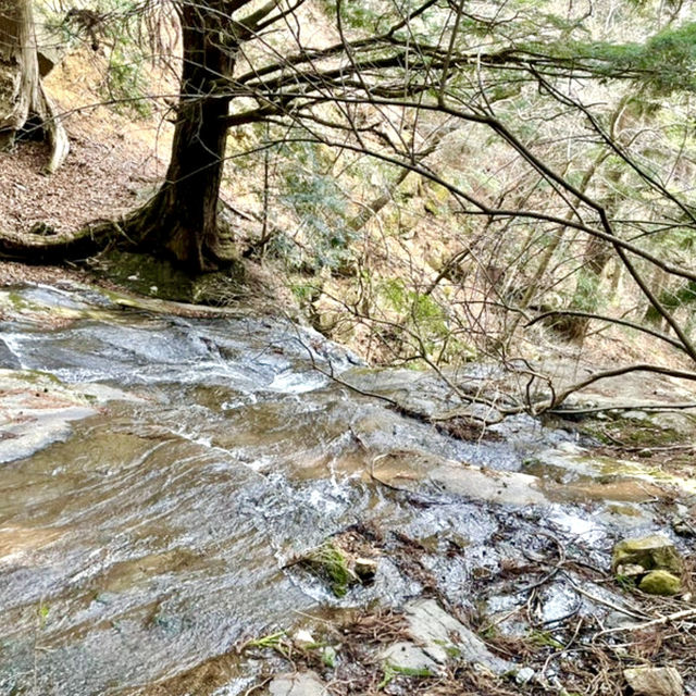 【山梨県】可愛らしい癒しの滝