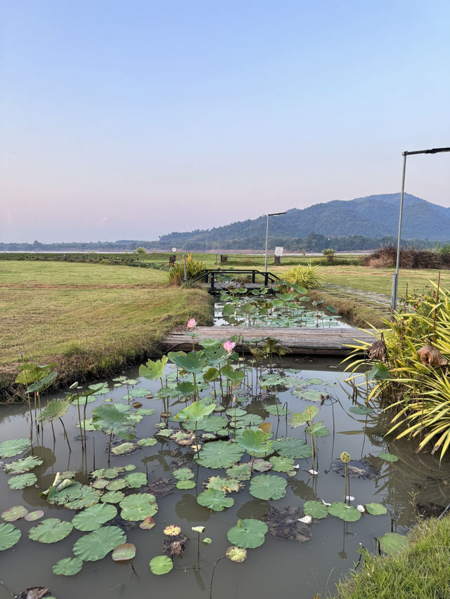 บ้านติดดิน เชียงคาน🌳