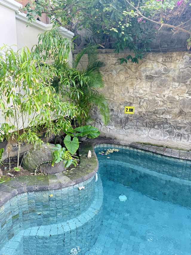 🇮🇩 Seaside Serenity and Stellar Service: A Review of Hospitality at Kresna by the Sea Apartmen
