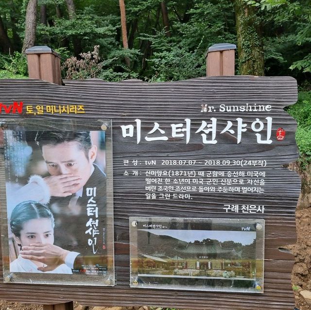 미스터션셔인으로 더 유명해진 지리산 천은사로 떠나보자