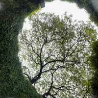 เที่ยวสิงค์โปร์ Fort Canning Tunnel 