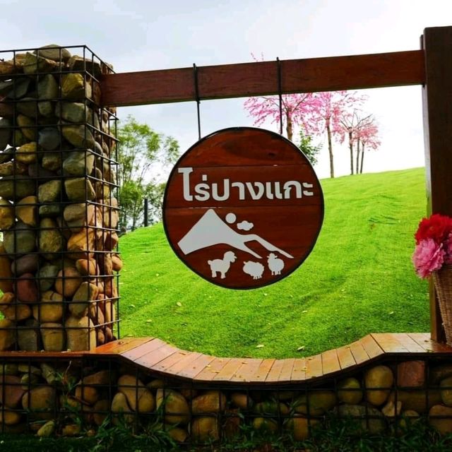 ไร่ปางแกะ  จังหวัดน่าน
