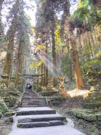 【熊本】⛩️ 阿蘇の大自然に佇む、神秘的な光が降り注ぐ神社 ⛩️