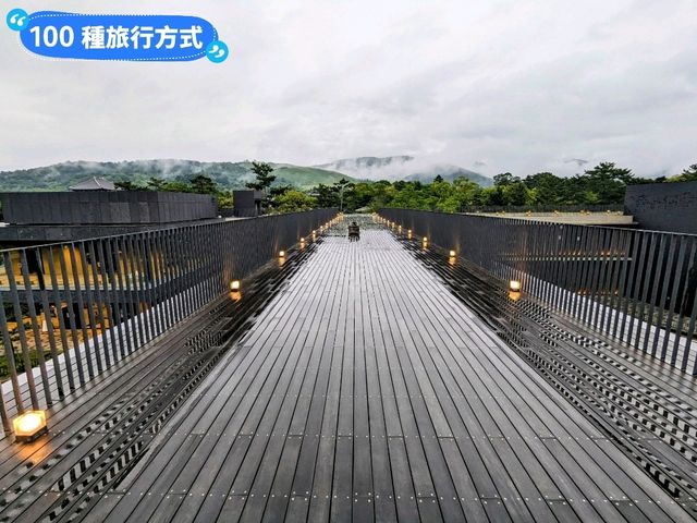 東大寺與梅花鹿，奈良2天1夜行程分享