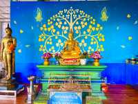 ชมวิวสวยกลางเมืองศรีราชา