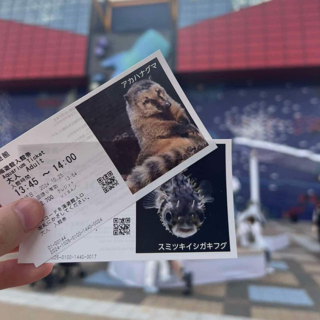 Osaka Aquarium Kaiyukan 🐠🩵