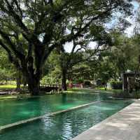 ที่พักเชียงใหม่ท่ามกลางสวนดอกไม้ 