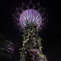 Garden of Eden?!