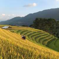 Sunset in Mong Ngua - Mu Cang Chai - A must see in the North West of Vietnam