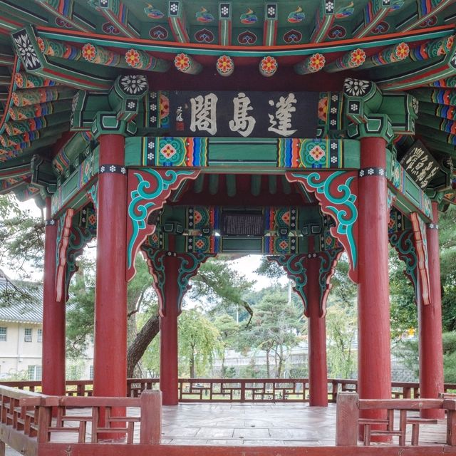 가을바람 느끼며 즐기는 특별한 야외데이트