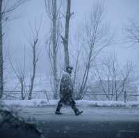 Winter in Jammu and Kashmir: A Snowy Stroll