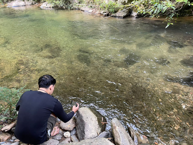 ประสบการณ์การเดินป่าใต้ | ระนอง🌳🏔️