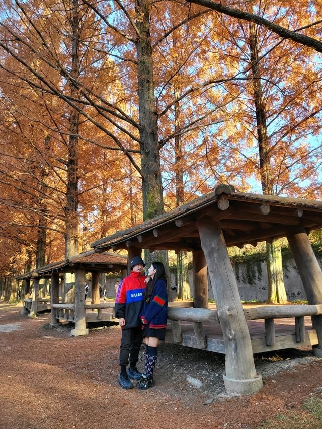 늦가을 즐기기 좋은 담양 가을여행지