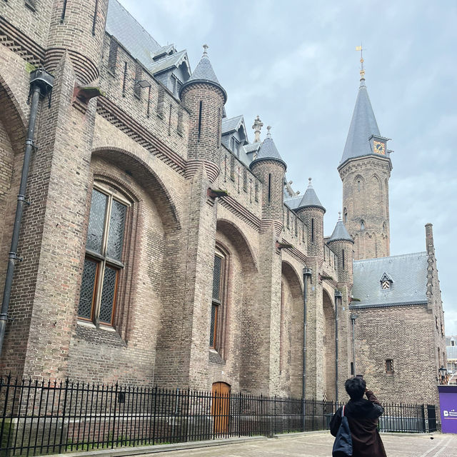 荷蘭🇳🇱海牙值得去嗎？ 朝聖《戴珍珠耳環的少女》 🌟