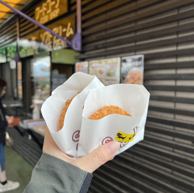 해바라기부터 장미까지 드넓은 꽃밭 팜토미타!