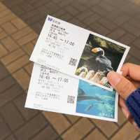 พิพิธภัณฑ์สัตว์น้ำโอซาก้า