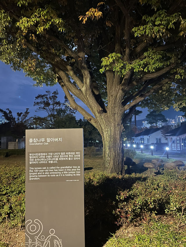 부산의 센트럴 파크 부산시민공원🌿🌳🍂🍁단풍구경하기 좋아요! 