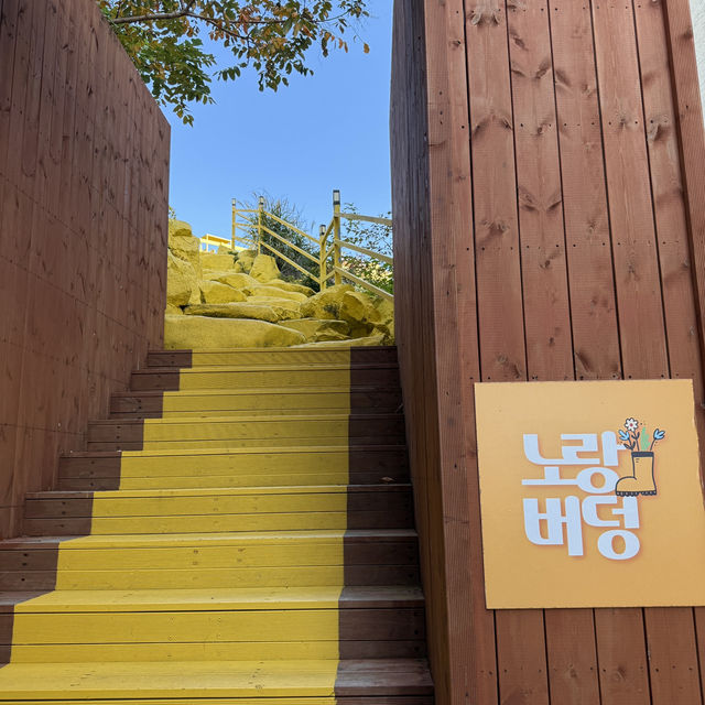 거제도의 숨은 포토스팟, 바람의핫도그 뒤 노랑버덩💛 동화 속 풍경을 만나다