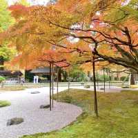 雷山千如寺大悲王院，超過1300年歷史