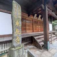 福岡旅遊 15.11.2024
