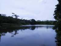 香港生態公園：米埔濕地
