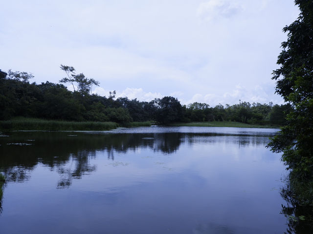 香港生態公園：米埔濕地