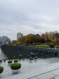 Exploring Ewha Womans University: A Beautiful Blend of Tradition and Modernity