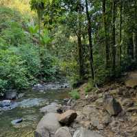 Explore the Natural Beauty of Atherton Tablelands