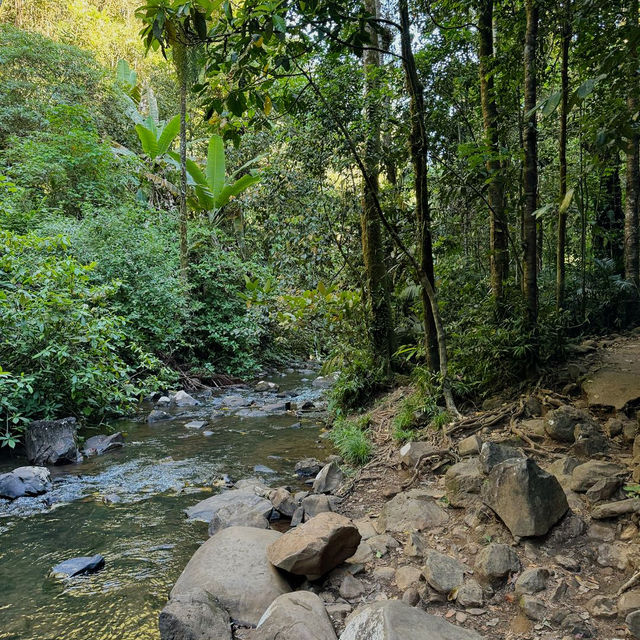 Explore the Natural Beauty of Atherton Tablelands