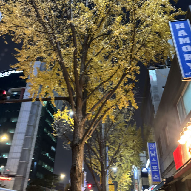【韓国 東大門】韓国っぽいホテル
