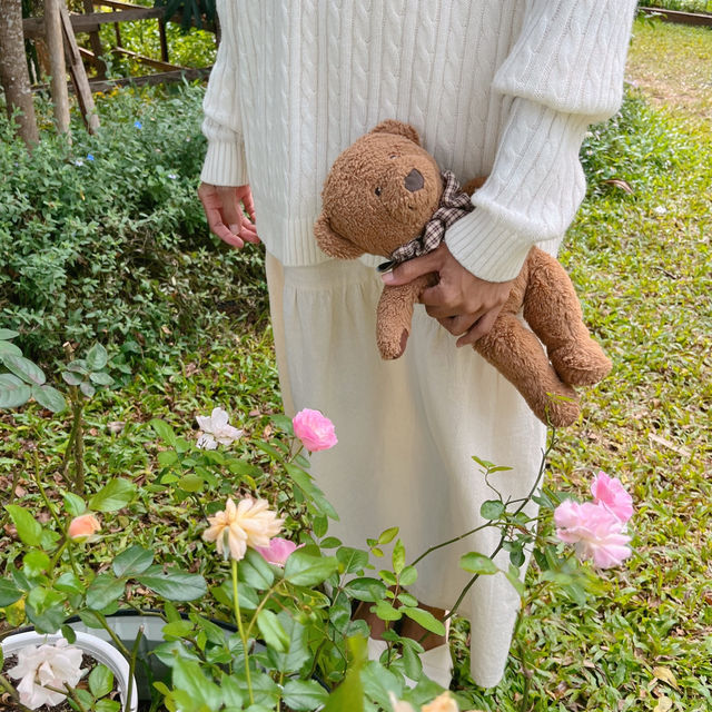 คาเฟ่สุดคิ้วท์ที่เชียงราย 🧺🌼Vanilla cabin