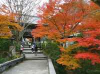 【広島県】世界遺産の安芸の宮島の古刹！紅葉絶景の大聖院
