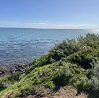 Mornington unreal!!!