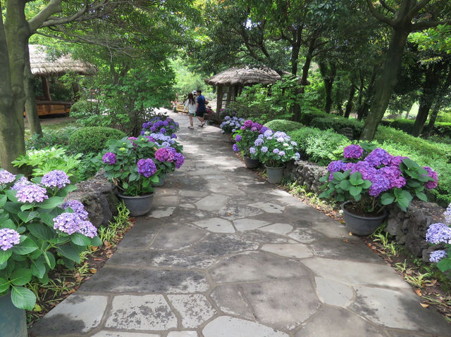 🇰🇷 這一定是濟州島最可愛的花園 🌺