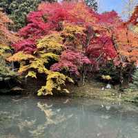 紅葉の名所、古刹「洞光寺」。