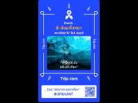 Enough for Life เชียงใหม่ 