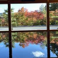 鏡の中の紅葉