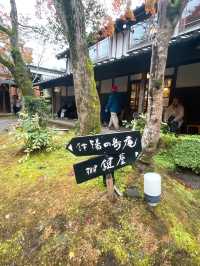 【湯布院】感動！亀の井別荘の素晴らしい紅葉✨