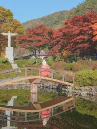 너무 아름다웠던 올 가을 제천 배론성지🍁🤎