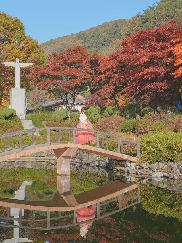 너무 아름다웠던 올 가을 제천 배론성지🍁🤎