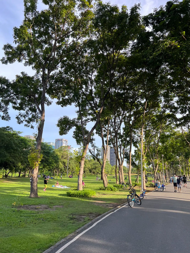 ☀️ พิกัดที่ปิกนิกสุดฟีลกู๊ดในกรุงเทพ 🍃🍄