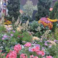 Explore the beauty of Flowers Dome of Singapore Garden by the bay