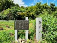 Iwabitsu Castle Ruins